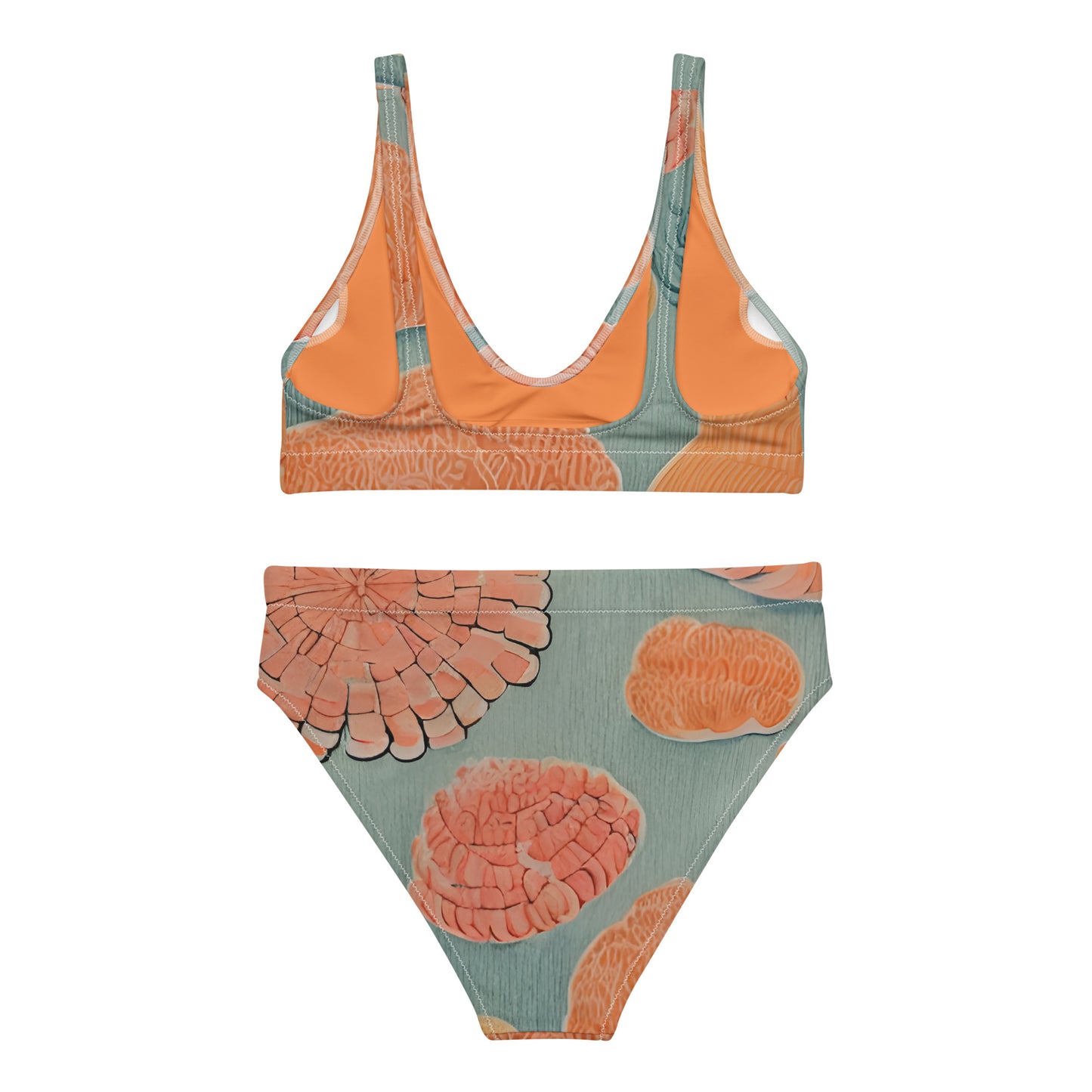 Sea Brains Eco Modern Bikini ♻️✅